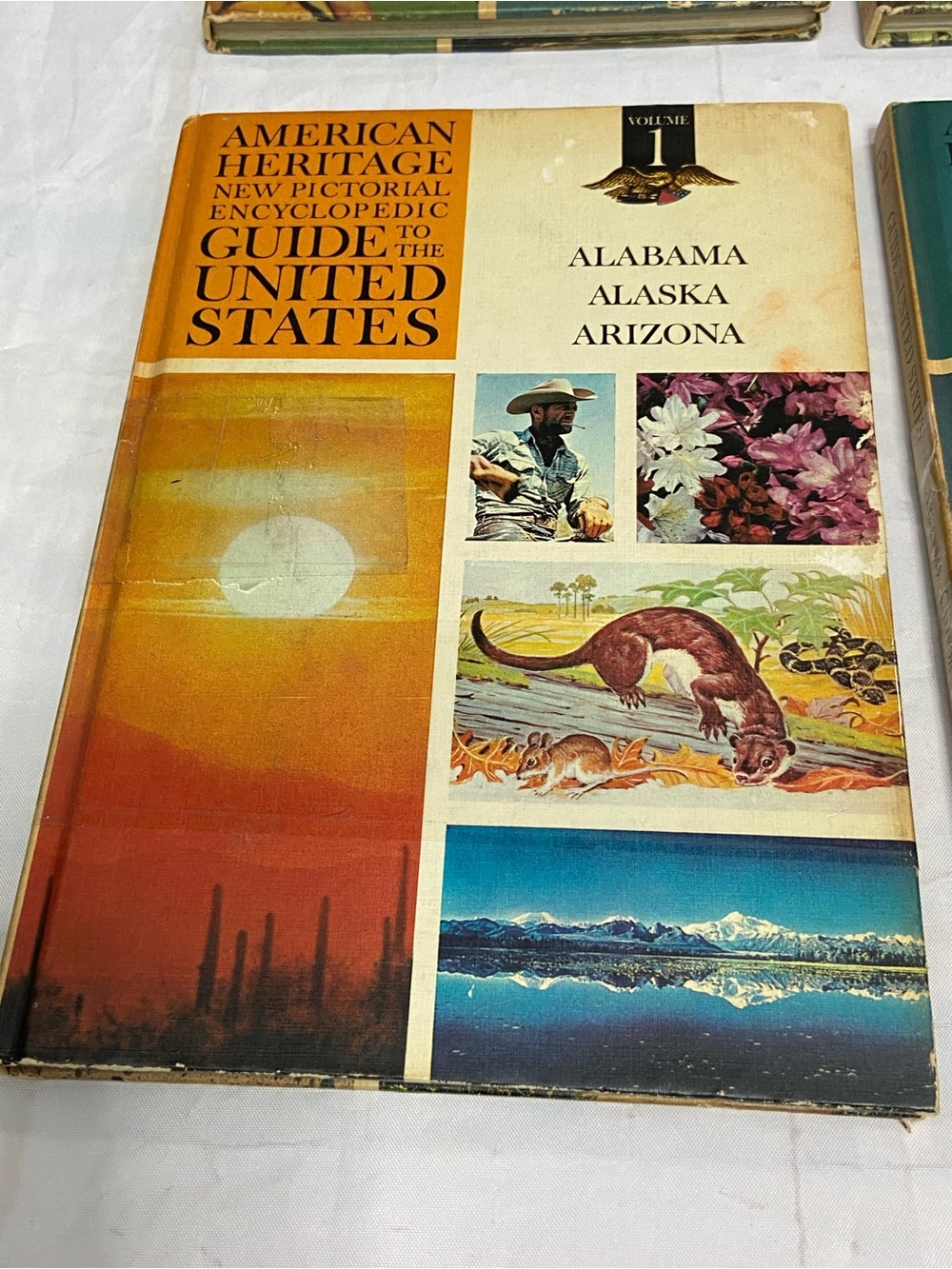 VTG Set American Heritage Pictorial Encyclopedic Guide United States 10 Book